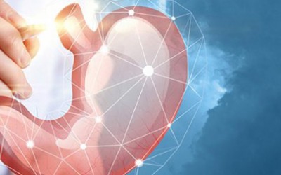 Bariatrik Cerrahi Sonrası Beslenme